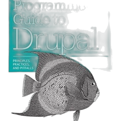 programmer, guide, drupal, principles transparent PNG cut-out