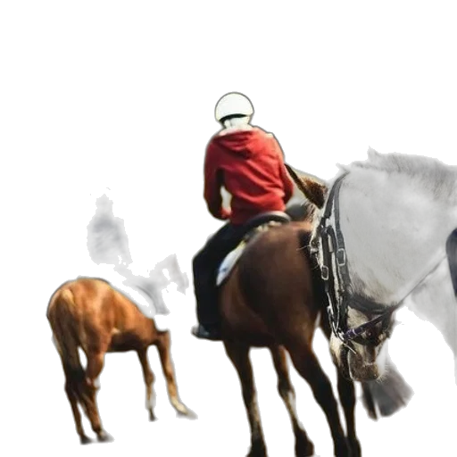 animal, hat, staff, mask transparent PNG cut-out