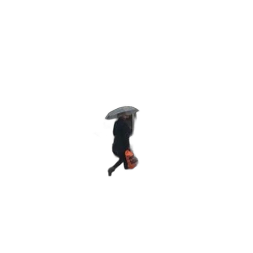 umbrella, shoes, creature, hat transparent PNG cut-out
