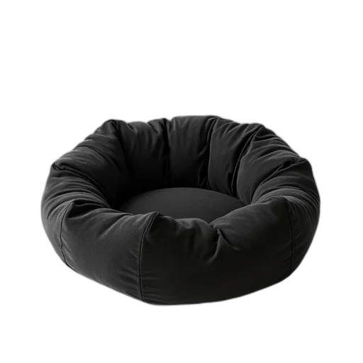 furniture, hat, crown, jacket transparent PNG cut-out