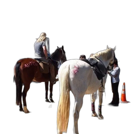 hat, staff, animal, hair transparent PNG cut-out