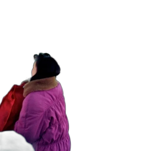 hat, jacket, staff, face transparent PNG cut-out