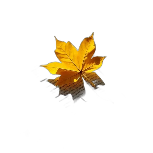 crown, flower, jewelry, staff transparent PNG cut-out