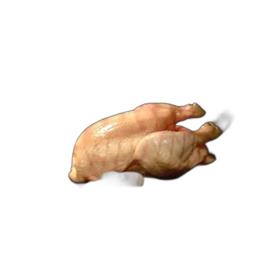 food, animal, weapon, creature transparent PNG cut-out