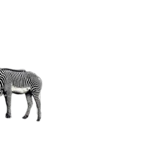 animal, creature, furniture, robot transparent PNG cut-out