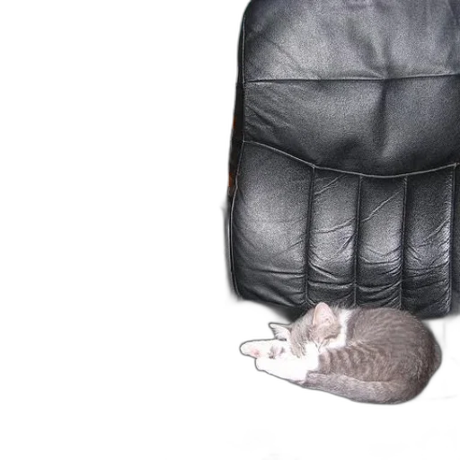 jacket, hat, umbrella, furniture transparent PNG cut-out