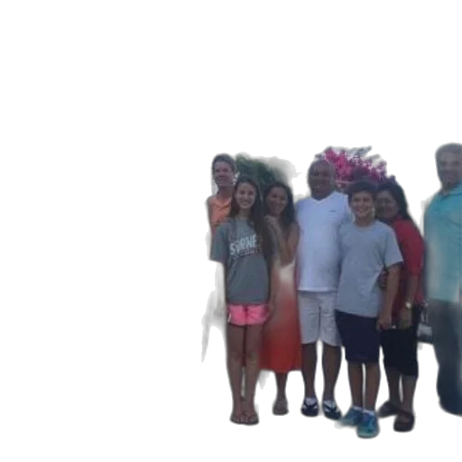 staff, hair, umbrella, tree transparent PNG cut-out