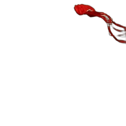 staff, hair, umbrella, flower transparent PNG cut-out