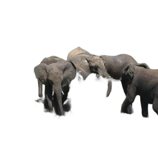 animal, staff, 3d render, concept art transparent PNG cut-out