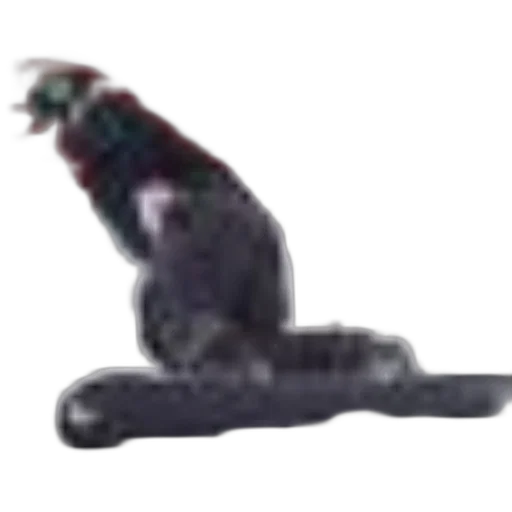 animal, creature, dragon, staff transparent PNG cut-out