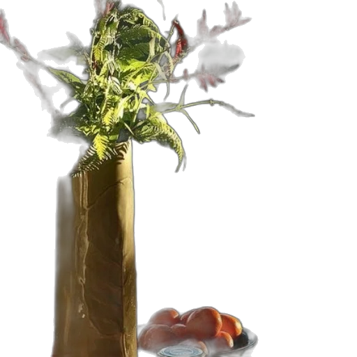 bottle, food, jewelry, crown transparent PNG cut-out