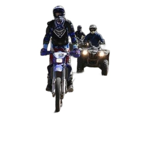concept art, pixel art, 3d render, photorealistic transparent PNG cut-out