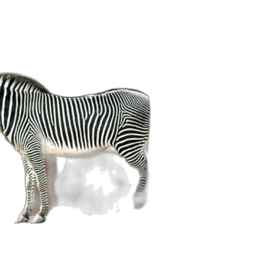 animal, creature, furniture, jewelry transparent PNG cut-out