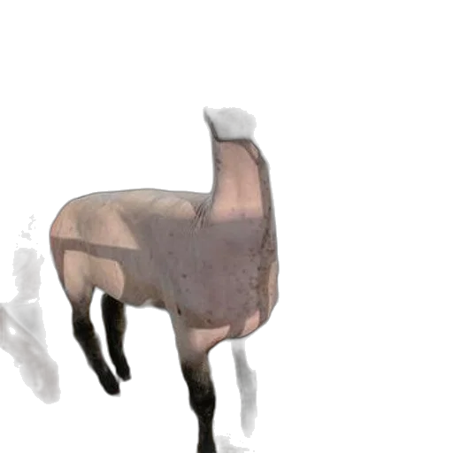 animal, creature, hat, robot transparent PNG cut-out
