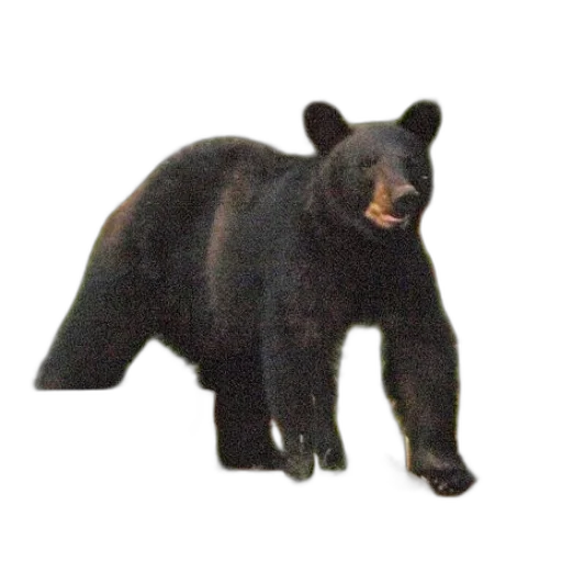 animal, creature, staff, weapon transparent PNG cut-out