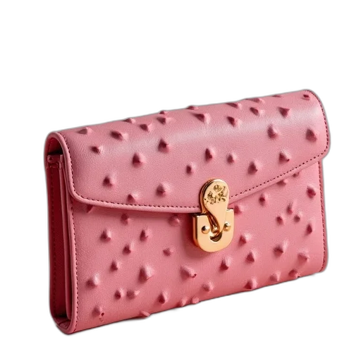 jewelry, pink, ostrich, wallet transparent PNG cut-out
