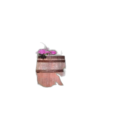 hat, bottle, crown, shoes transparent PNG cut-out