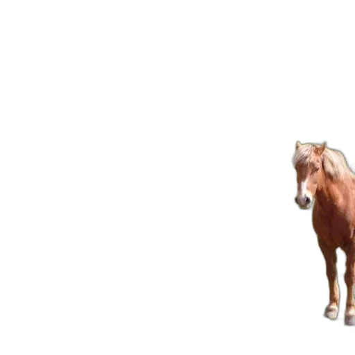animal, creature, weapon, hat transparent PNG cut-out