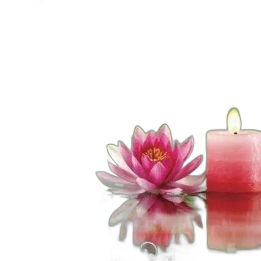 jewelry, flower, 3d render, photorealistic transparent PNG cut-out