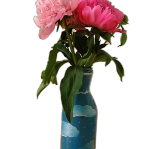 flower, bottle, crown, jewelry transparent PNG cut-out