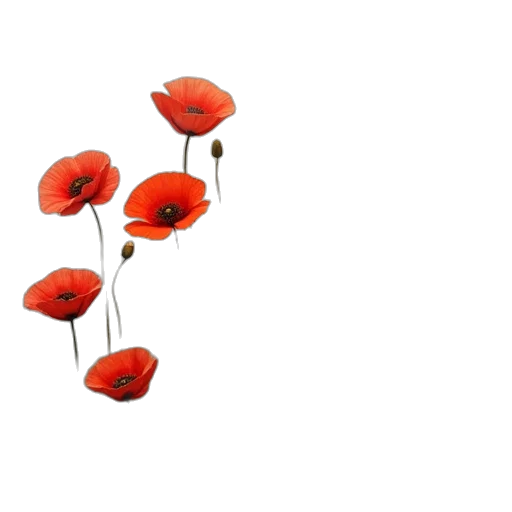 flower, crown, hat, dress transparent PNG cut-out