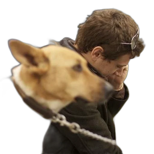 animal, staff, person, wearing transparent PNG cut-out