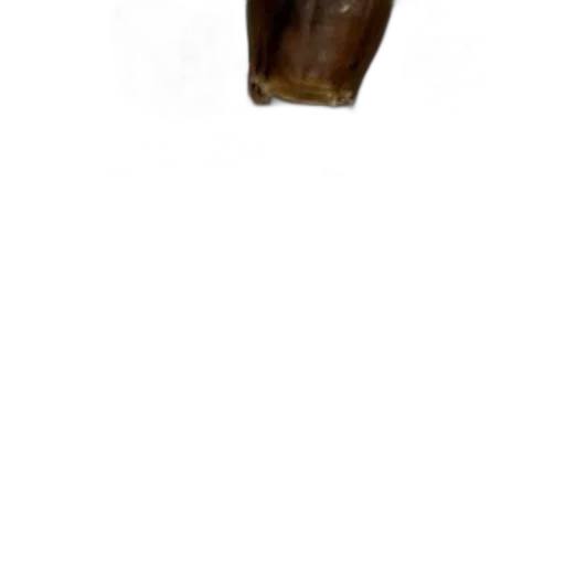 staff, weapon, crown, shoes transparent PNG cut-out