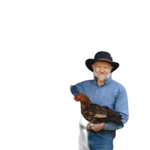 hat, animal, jacket, robot transparent PNG cut-out