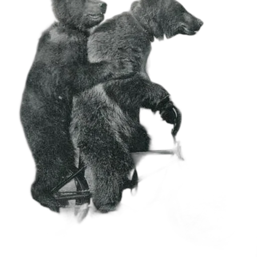animal, staff, creature, pencil sketch transparent PNG cut-out