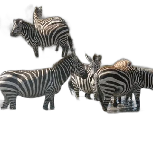 animal, jewelry, furniture, 3d render transparent PNG cut-out