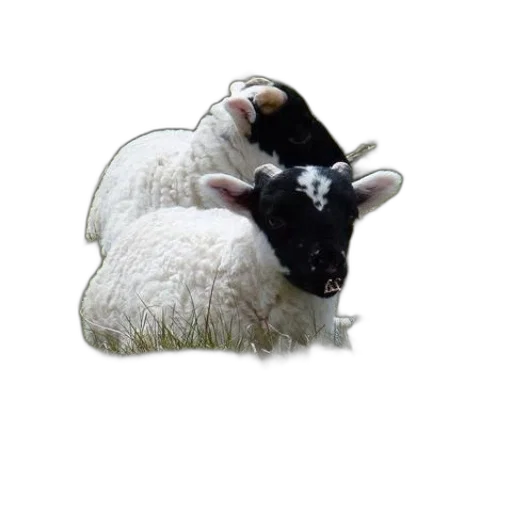 animal, photorealistic, 3d render, pixel art transparent PNG cut-out