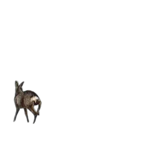 animal, creature, dragon, furniture transparent PNG cut-out