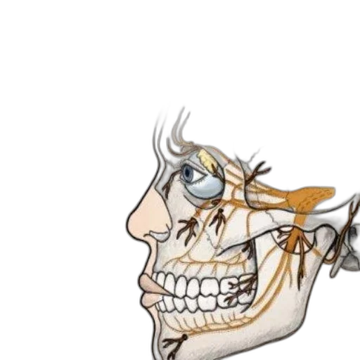 face, mask, crown, staff transparent PNG cut-out