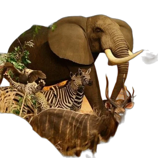 animal, concept art, photorealistic, 3d render transparent PNG cut-out