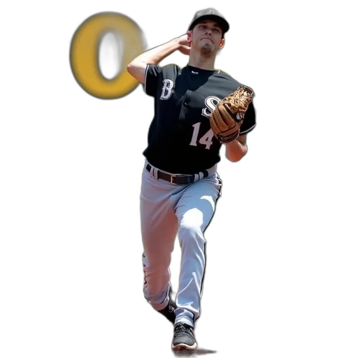animal, baseball, player, black transparent PNG cut-out