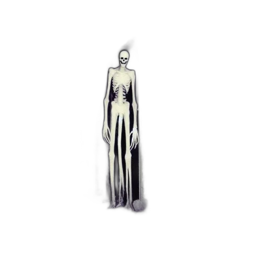 dress, creature, robot, staff transparent PNG cut-out