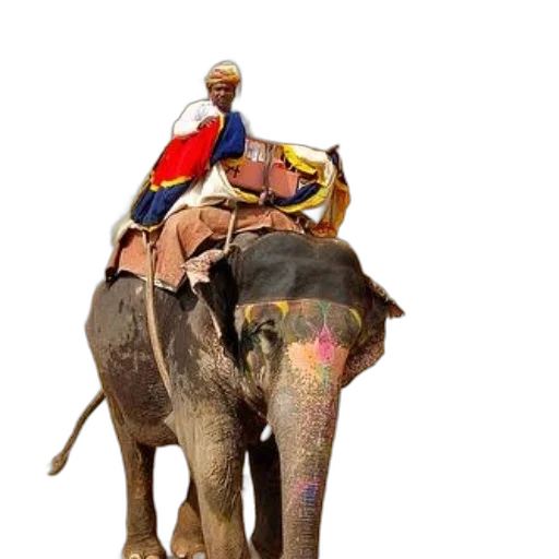 animal, staff, umbrella, concept art transparent PNG cut-out