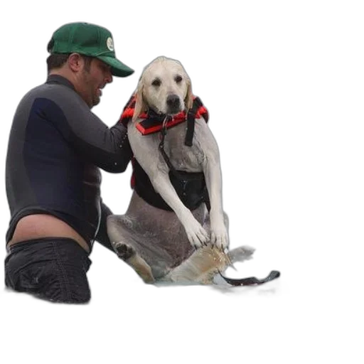 animal, staff, creature, man transparent PNG cut-out