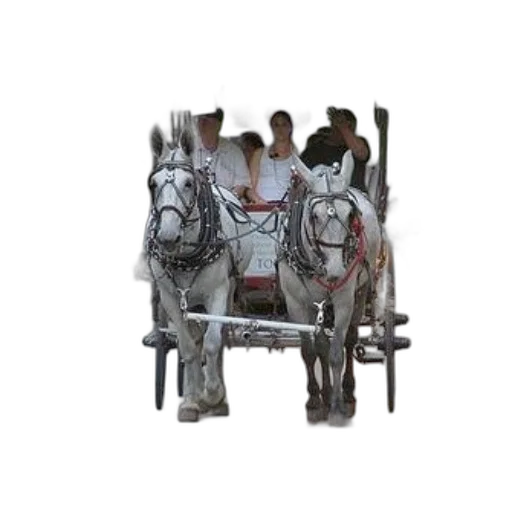 furniture, staff, photorealistic, oil painting transparent PNG cut-out