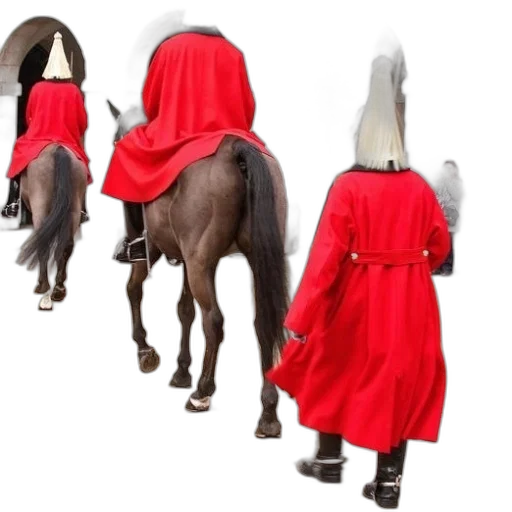 dress, mask, jacket, hat transparent PNG cut-out