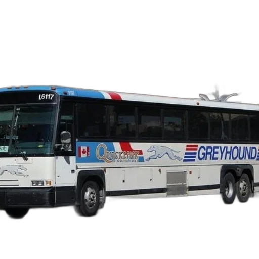 3d render, greyhound, bus, parked transparent PNG cut-out