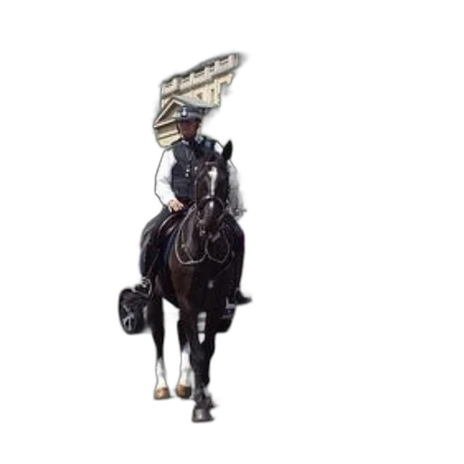 staff, hat, robot, animal transparent PNG cut-out