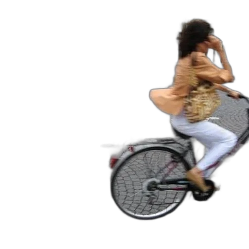car, creature, hair, animal transparent PNG cut-out