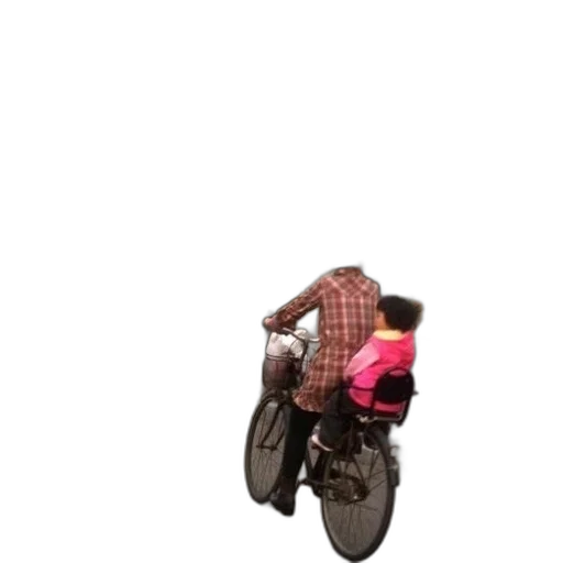 jacket, car, animal, weapon transparent PNG cut-out