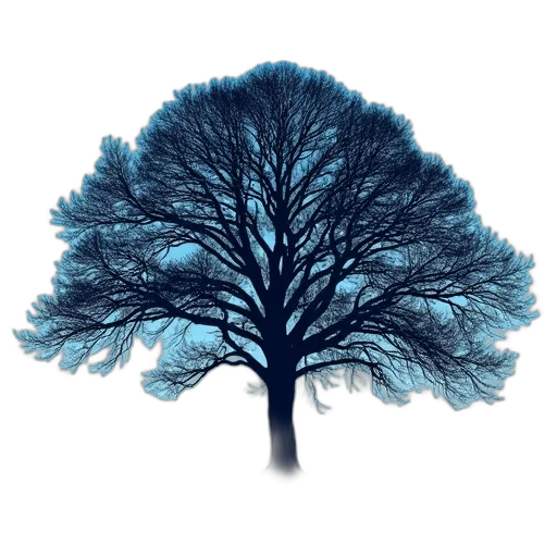 tree, crown, hair, hat transparent PNG cut-out