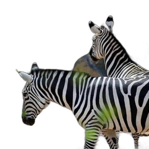 animal, creature, jewelry, furniture transparent PNG cut-out