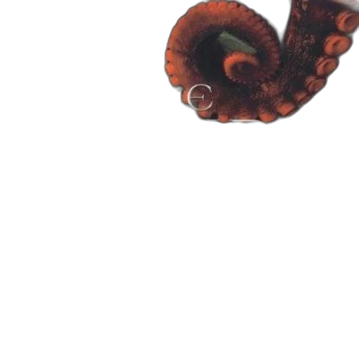 dragon, creature, animal, staff transparent PNG cut-out