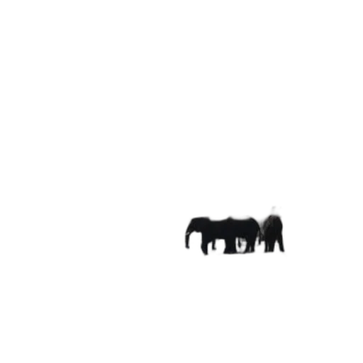 animal, creature, furniture, jewelry transparent PNG cut-out