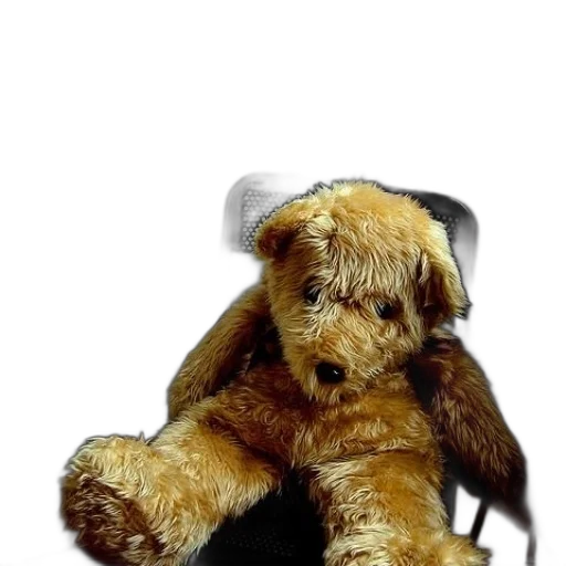 staff, animal, hat, furniture transparent PNG cut-out