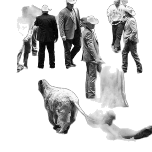 hat, animal, creature, staff transparent PNG cut-out